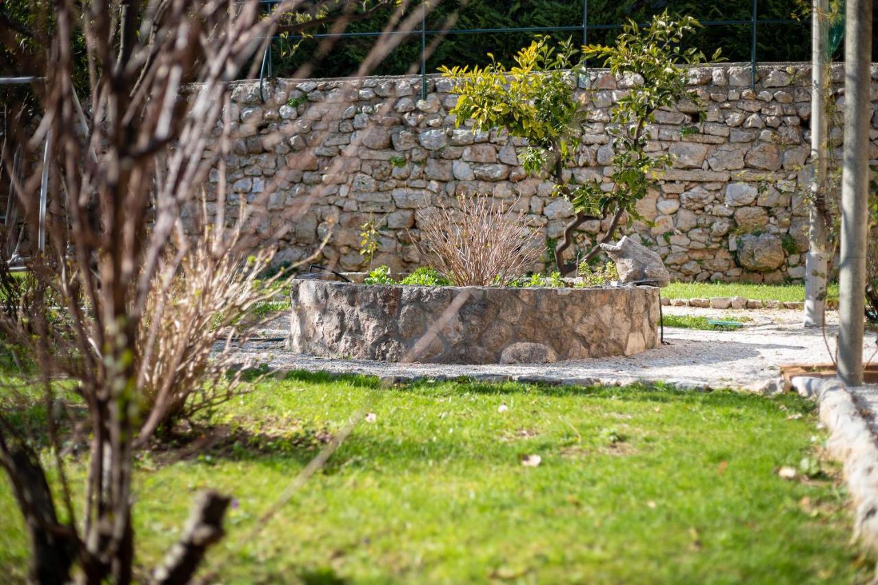 Apartment Villa Ahava Garden Dubrovnik Extérieur photo
